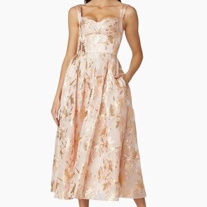 Shoshanna Ophelia Organza Tea-Length Midi Dress
